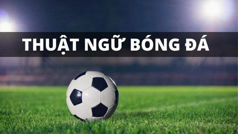 thuat-ngu-bong-da-tong-hop-day-du-tu-a-z-cho-nguoi-moi-va-dan-ca-cuoc-2026